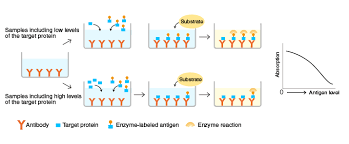 Add 4 drops of brown iodine solution to each of the labeled wells. The Principle And Method Of Elisa Mbl Life Sience Asia