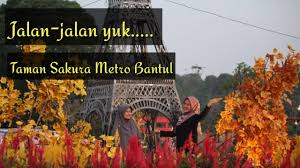 Selfie taman sakura / 10 foto taman sakura bandar lampung 2020 tiket masuk harga sewa baju di lokasi bukit kemiling. Taman Sakura Bantul Metro Lampung View Drone Youtube