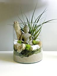 Unsure if you know what they are? Decorating With Air Plants Air Plant Displays And Terrarium My Tasteful Space