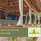 Tranquility and Wild Dolphin Swims Retreat event image