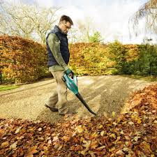 Bosch has a wide variety of cordless power tools. Bosch Alb 18 Li Bt 18v Cordless Garden Leaf Blower Bare Tool