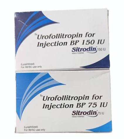 150 lU Sitrodin Urofollitropin Injection BP at ₹ 450/vial | Urofollitropin Injection in Indore | ID: 2850411843748