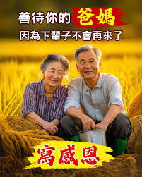 時光- 🍀🍀🍀時間兜兜轉轉30年後，這里的風景還在唯一不同的是， 小時候是他們牽著我們，...