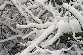 In nederland en vlaanderen valt water dat als witte vlokken uit de lucht valt vb: Sneeuw Wiktionnaire