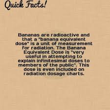 Quick Fact Bananas Are Radioactive And That A Banana