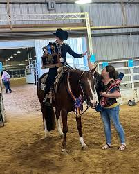 Parks Show Horses (@parksshowhorses) • Instagram photos and videos