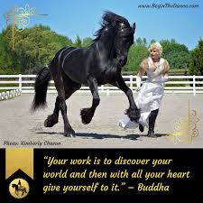 Pin On Horse Training