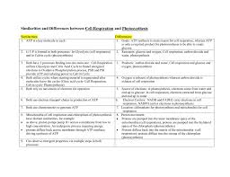 photosynthesis vs respiration chart