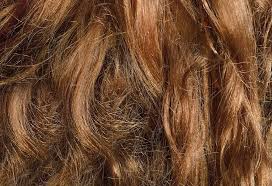 Most popular oils used in indian head massage are coconut oil, mustard oil and sesame oil. Top 12 Home Remedies For Frizzy Hair