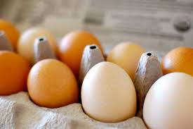 We did not find results for: 3 Egg Brands You Can Trust Eating Made Easy