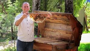 At top bar beehives we manufacture premium quality top bar beehives. Beekeeping Naturally Promotes The Kenyan Top Bar Hive As One Of The Most Effective Natural Bee Hives For Backyard And Top Bar Bee Hive Top Bar Hive Bee Keeping