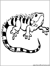 Free printable & coloring pages. Newt Coloring Page