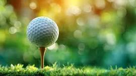 Big Rapids Lions Club 5th Annual Golf Outing