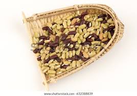 Image result for Vigna umbellata