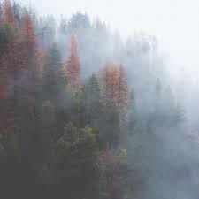 Es ist ein graffiti und zeigt lediglich einen schriftzug in diesem stil. Wandbild Auf Leinwand Grosse Auswahl Gratis Versand