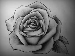 Pin By Sandrina Slender On Roses Rose Drawing Tattoo Roses Drawing Rose Drawing