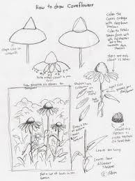 Flowers Adrons Lesson Lesson Artist Plans Young Draw Cone Art How Art For Toadron S Art Lesson Flower Drawing Flower Drawing Tutorials Flower Art