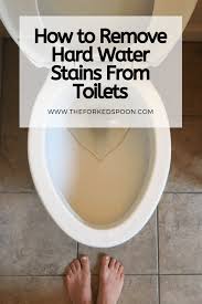 We did not find results for: How To Remove Hard Water Stains From Toilets The Forked Spoon