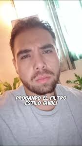 Filtro Estilo Ghibli Cuantoo