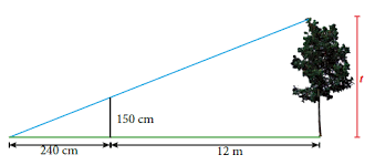 Kunci jawaban pkn kelas 8 bab 5 : Kunci Jawaban Matematika Kelas 7 Halaman 39 40 Ayo Kita Berlatih 5 4 Kosingkat