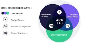 This could indicate that the company has never provided a dividend or that a. Arkk The Epitome Of Active Management Nysearca Arkk Seeking Alpha