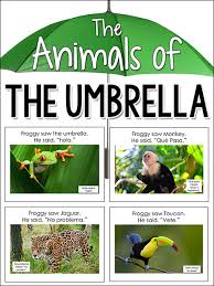 The Animals Of The Umbrella Rainforest Activities Rainforest Animals Rainforest Preschool