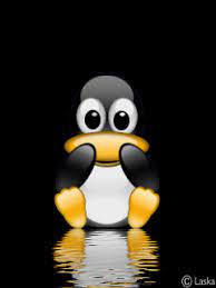 Facebook Deli Kizin Turkusu Gif Para Celulares Imagenes Gif