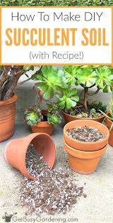 To increase acidity just slightly—something all succulents like—add 1 tablespoon white vinegar to 5 gallons water when watering. How To Make Your Own Succulent Soil With Recipe Best Soil For Succulents Succulent Potting Mix Succulent Garden Diy
