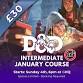 DnD Intermediate Course - January event image