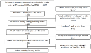 Oncotarget Ct Guided Hookwire Localization Before Video