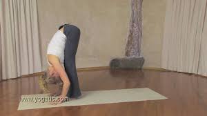 Yoga Jump Forward Explained Ashtanga Vinyasa Yoga Yoga Yoga Inspiration