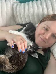 Kitten litter for adoption soon, playful and curious