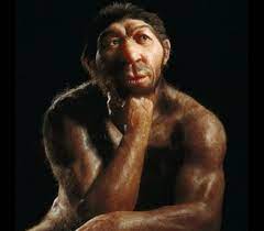 Neanderthal Behavior | Learn Science at Scitable