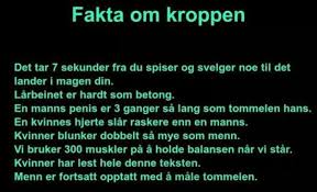 Fakta Om Kroppen Skuff No Vitser Og Morsomme Bilder Morsomme Fakta Morsomme Vitser Vitser
