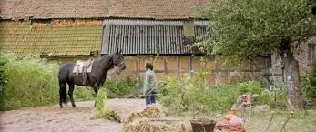 I still believe trailer german deutsch (2020). Trailer Ostwind Der Grosse Orkan