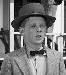 THE HOUSE OF FRADKIN-STEIN: "M. I. C. K. E. Y. M. O. U. S. E.": Walt  Disney's Original Mickey Mouse Club,1955 To 1959: "An Honorary Mousketeer  In Good Standing" Remembers