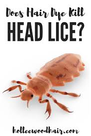 In fact, hair dye will make it significantly harder to get rid of lice because it will dye all of the nits and lice the same color as your hair, making them significantly harder to spot and remove. Does Hair Dye Kill Head Lice Dyed Hair Head Louse Hair Lice