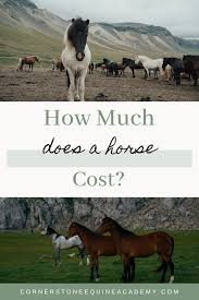 On average, expect to pay $0.75 to $4 per horse, per mile, but some haulers may add discounts as you add horses to the trip. How Much Does A Horse Cost Horses Horse Care Equines