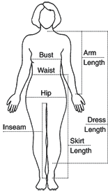 Women Body Measurements Chart Jasonkellyphoto Co