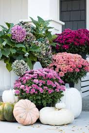Purple Fall Front Porch Fall Decorations Porch Rustic Fall Porch Fall Home Decor