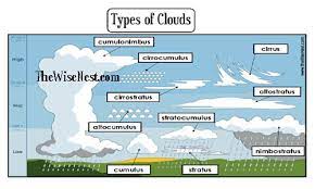 The term cloud nine comes from an atlas published in 1896 classifying clouds into ten types, with cumulonimbus clouds being the 9th type, or. Types Of Clouds The Wise Nest