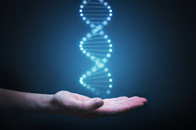 Image result for atletas genes