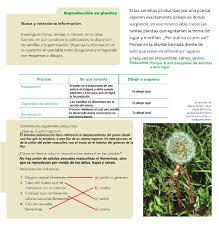 Libro de ciencias naturales 4 grado contestado. Diversidad En La Reproduccion Bloque Ii Tema 1 Apoyo Primaria