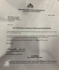 Lowenfield Gets 11am Deadline For Recount Report Stabroek News