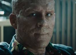 The Julius House An Aurora Teagarden Mystery Final Photo Assets