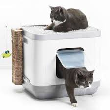 Caixa De Areia Grande Para Gatos Caixa De Areia Para Gatos Catconcept Com Almofada E Arranhador Caixa De Areia Para Gato Caixa De Areia Caixa De Areia Gato