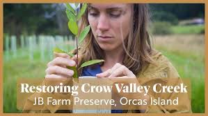 Part 3 of 6: Strategic Overview by Goldshore CEO Michael Henrichsen