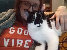 Uma the 2-year-old tiny cat who loves snuggling