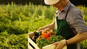 Maybe you would like to learn more about one of these? How To Invest In Farming Without Owning A Farm Mount Bonnell Advisors