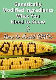 Genetically Modified Ingredients - What You Need To Know & How To Avoid Gmos  - Joybilee® Farm | Diy | Herbs | Gardening |